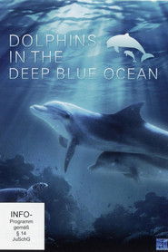 Dolphins in the Deep Blue Ocean