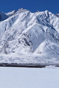 In The Forest One Thing Can Look Like Another