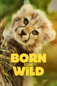 Born to Be Wild – Season 1