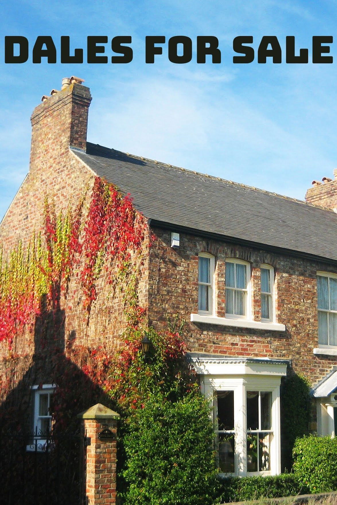 Dales for Sale – Season 1