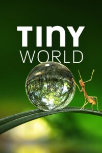 Tiny World – Season 1