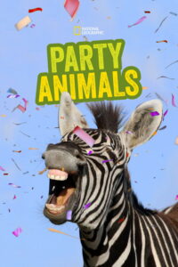 Party Animals – Season 1