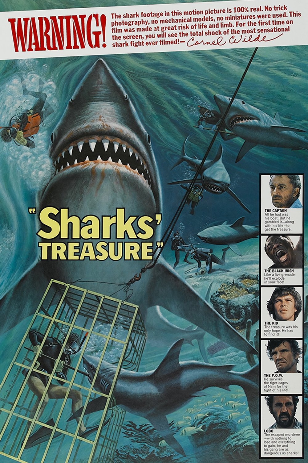 Sharks’ Treasure