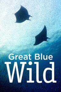 Great Blue Wild – Season 1