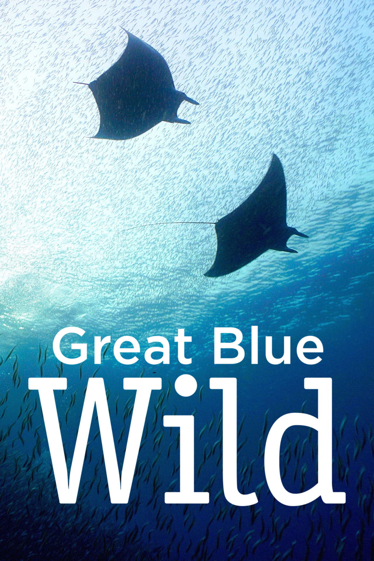 Great Blue Wild – Season 1