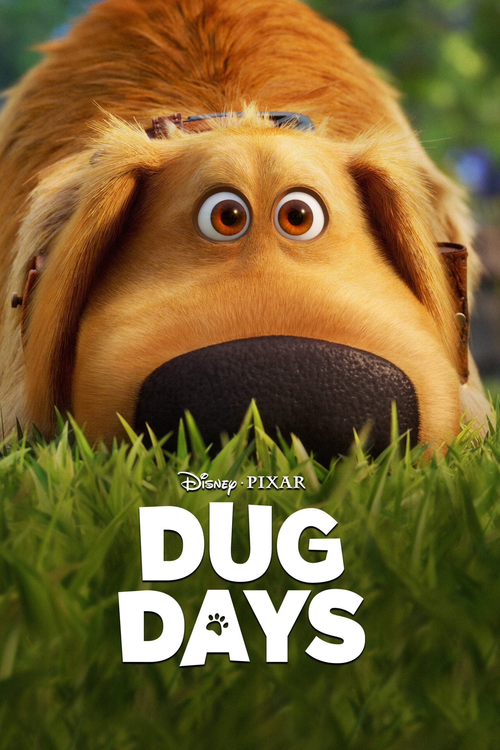 Dug Days – Season 1