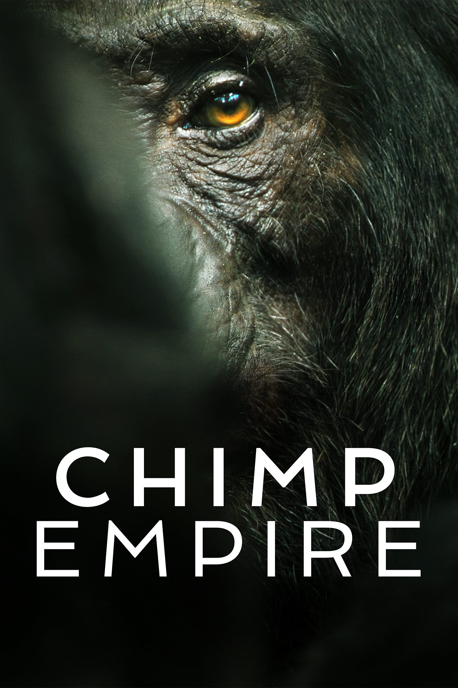 Chimp Empire – Season 1