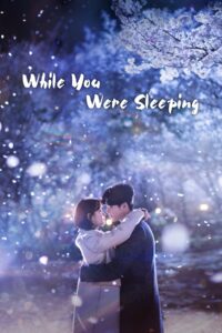 While You Were Sleeping – Season 1