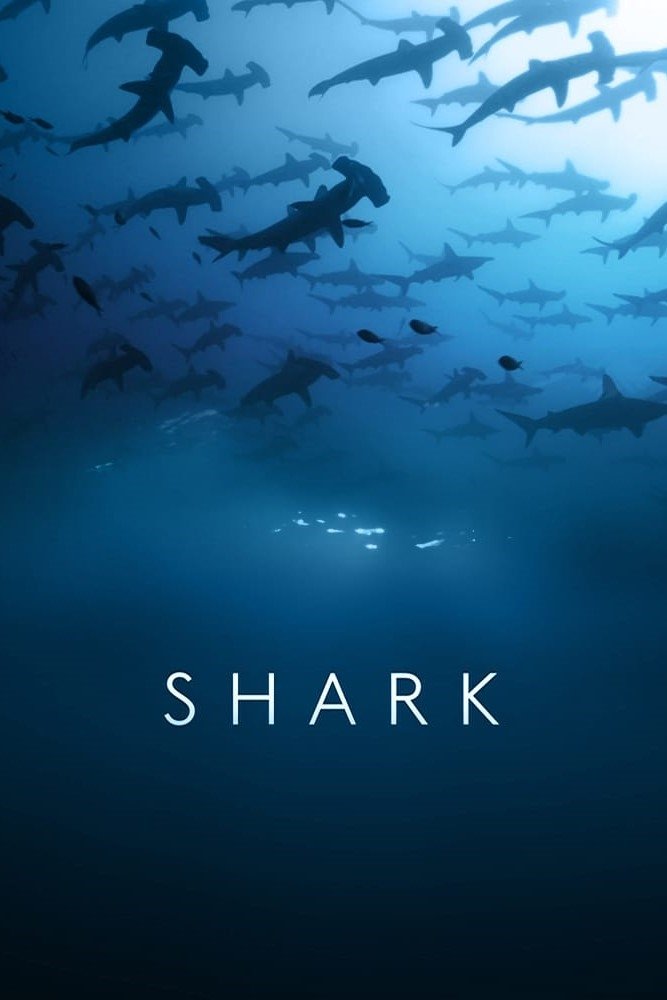 Shark – Season 1