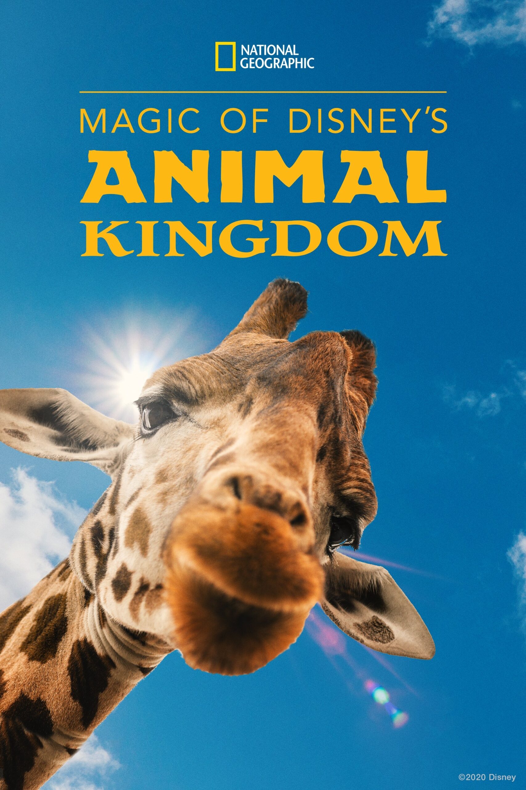 Magic of Disney’s Animal Kingdom – Season 1