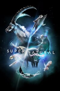 Super/Natural – Season 1