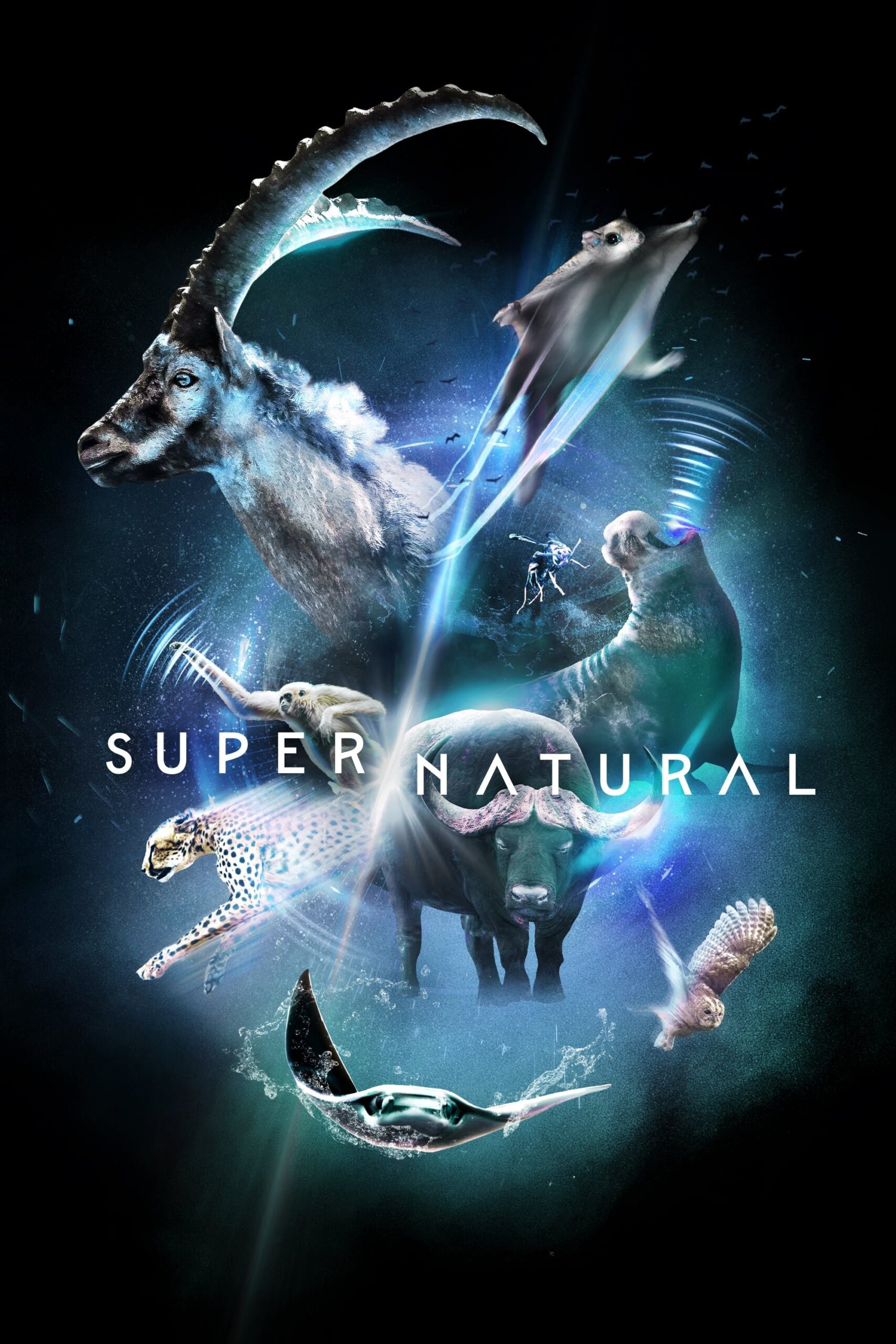 Super/Natural – Season 1