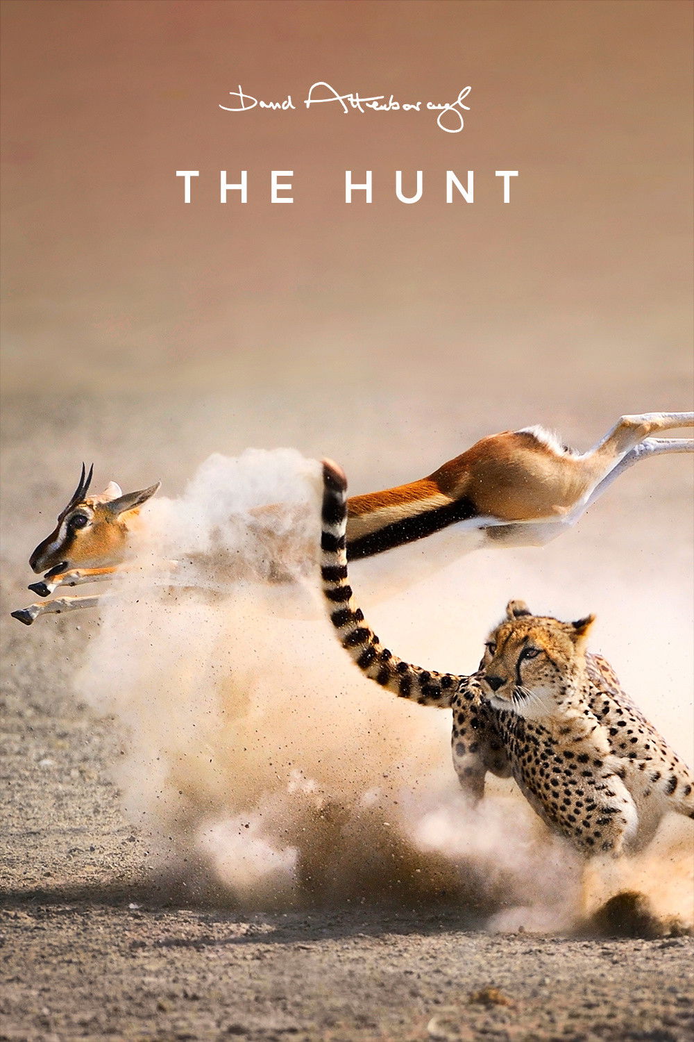 The Hunt – Season 1