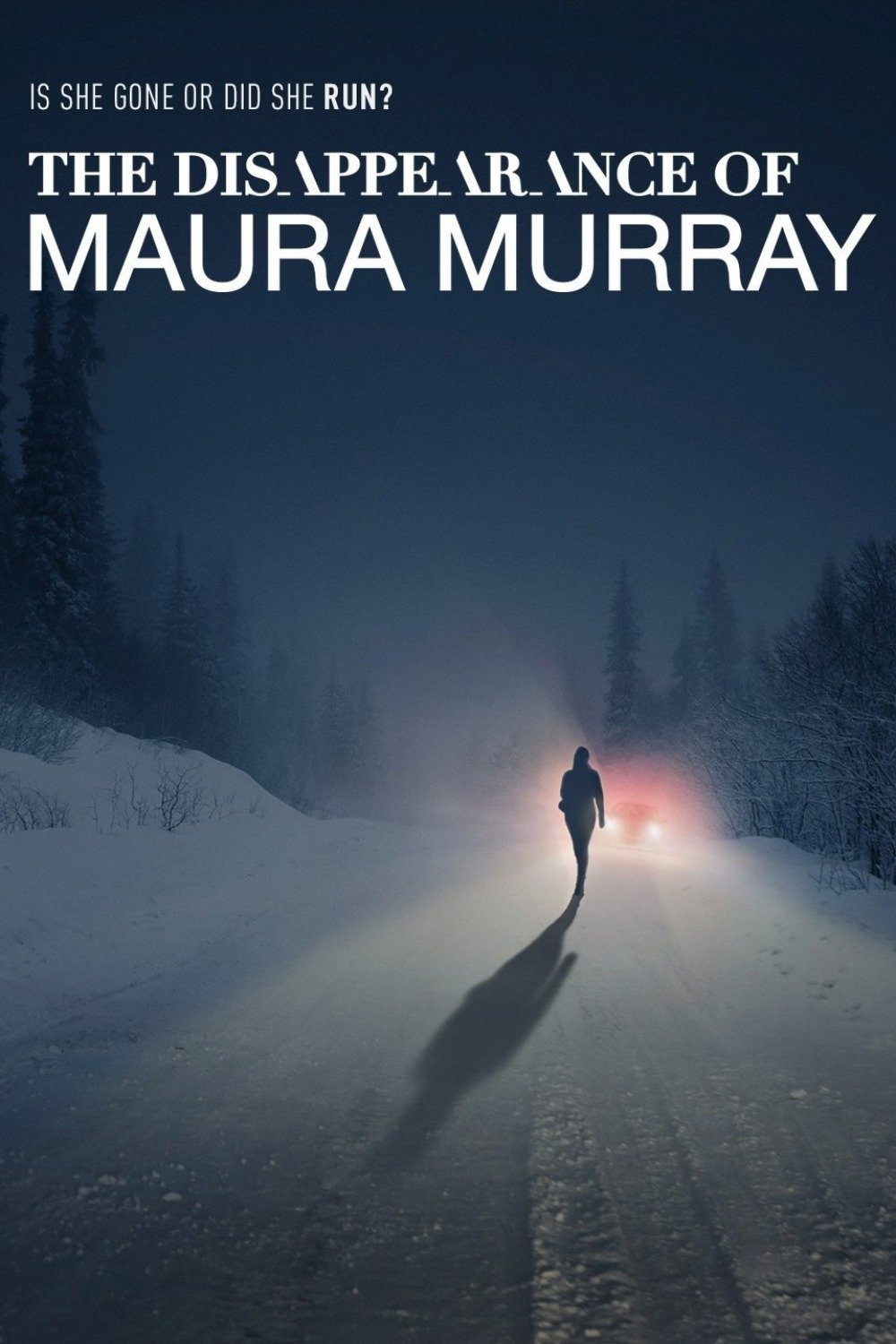 The Disappearance of Maura Murray – Season 1