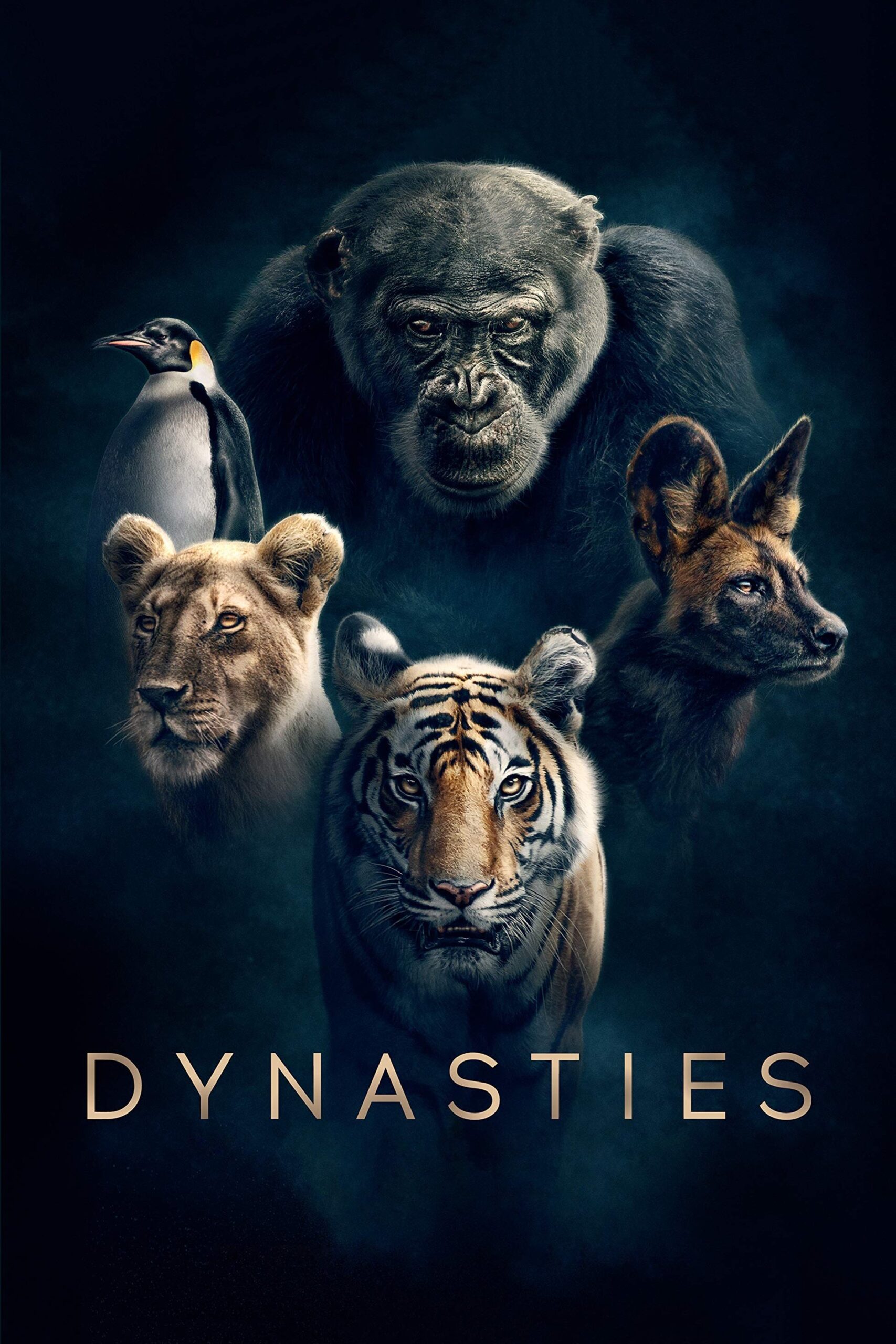 Dynasties – Season 1