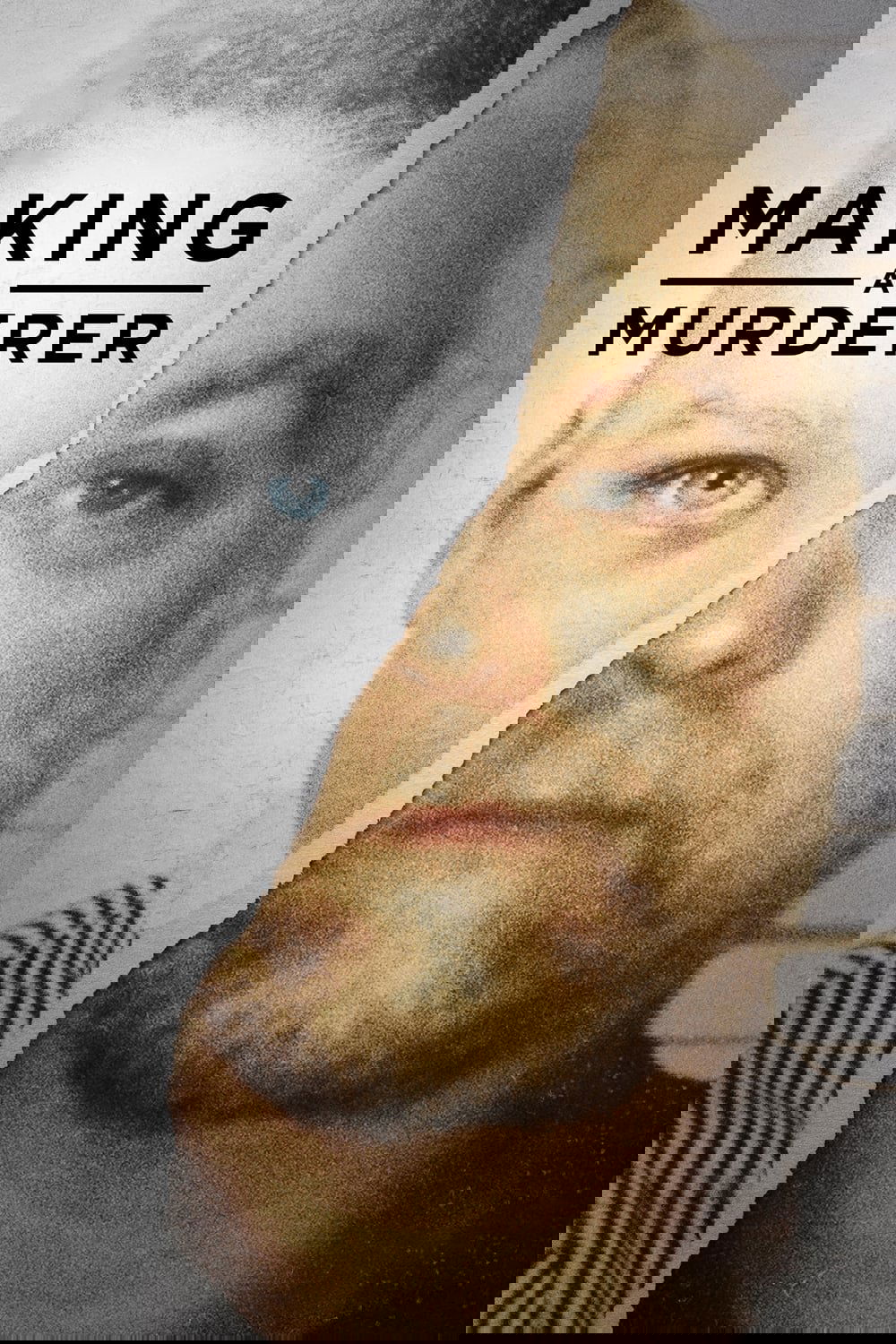 Making a Murderer – Season 1