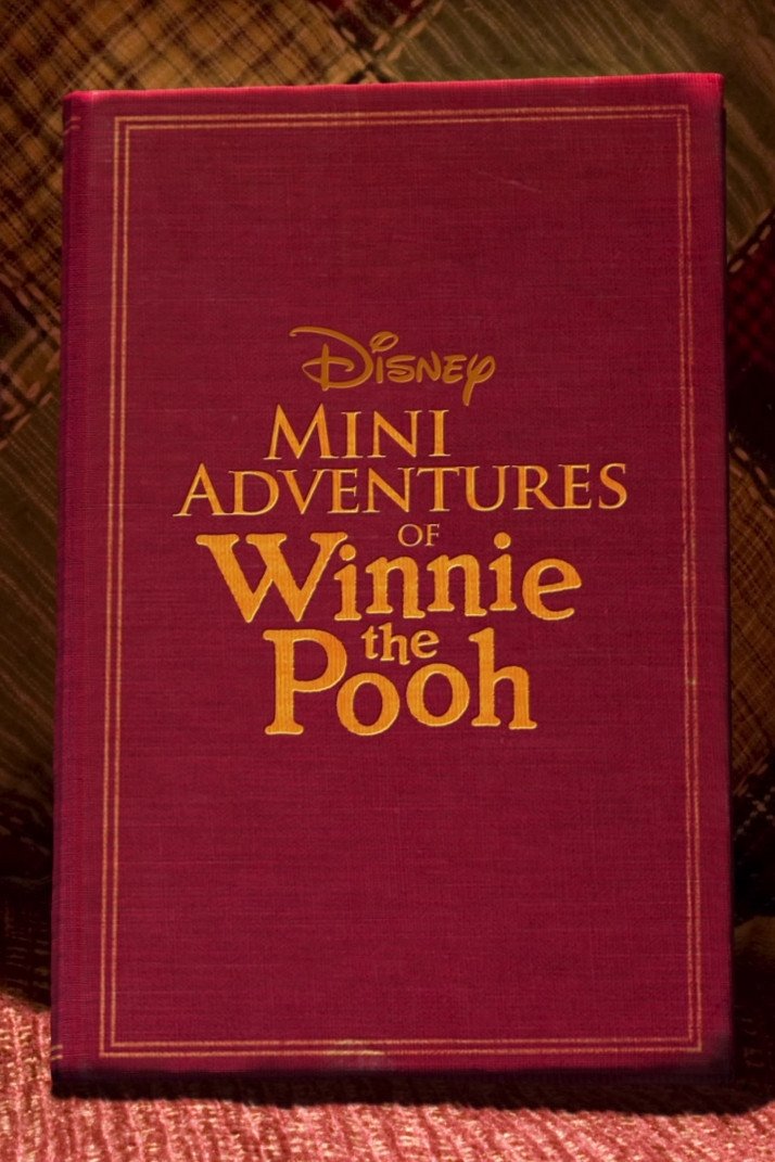 Mini Adventures of Winnie the Pooh – Season 1