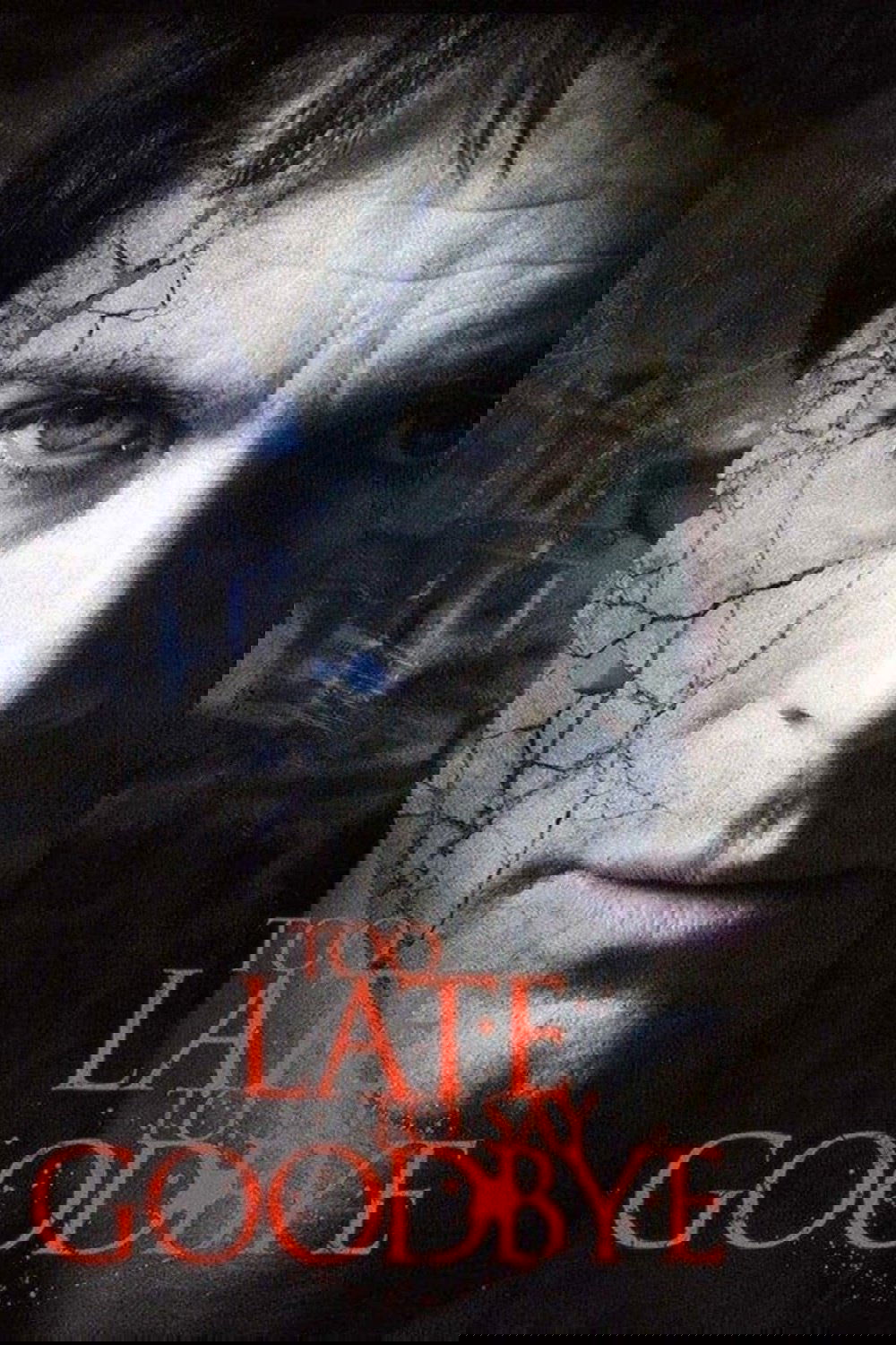 Too Late to Say Goodbye