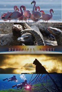 Mysterious Planet – Season 1