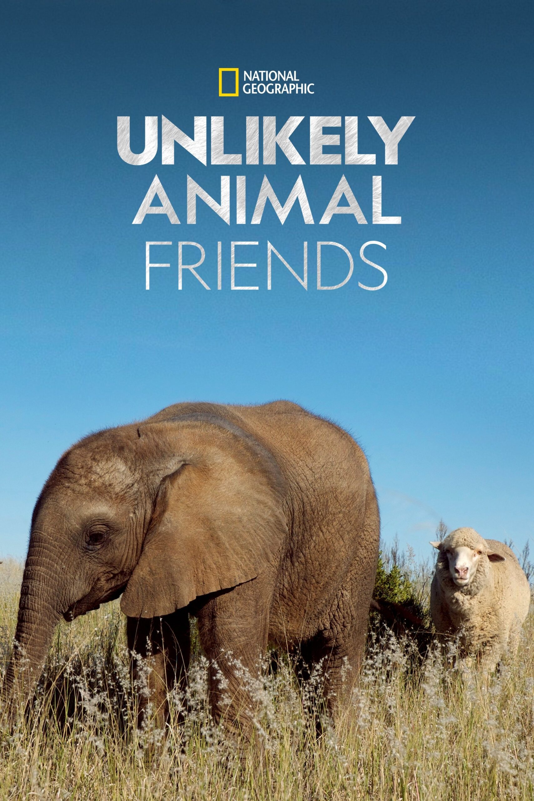 Unlikely Animal Friends – Season 1