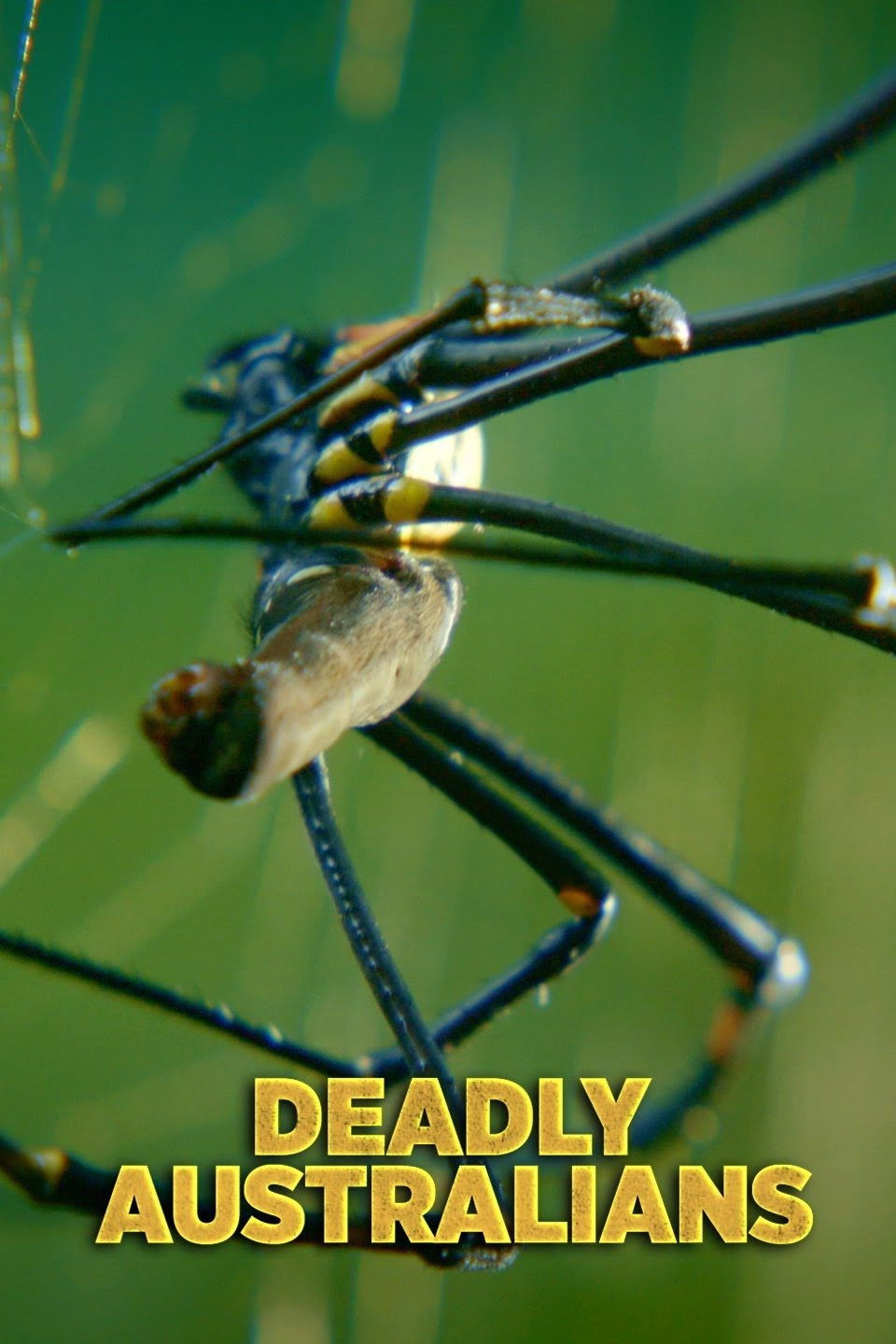 Deadly Australians – Season 1