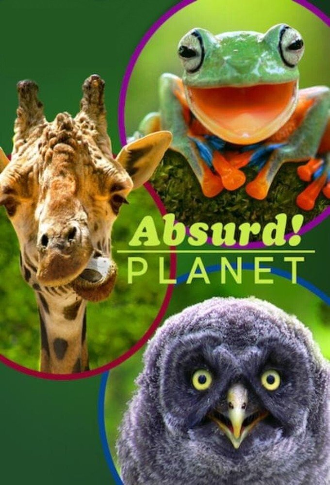 Absurd Planet – Season 1